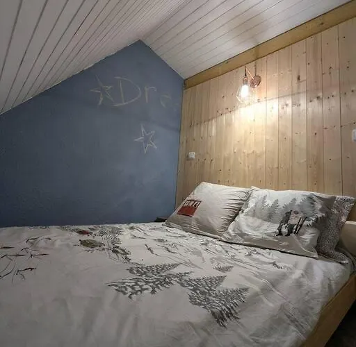 La Foux D'allos Duplex Au Pied Des Pistes *